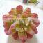 Colorful Succulent Artificial Succulent Wholesale for Plant Wall Decor