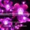 New Design wholesale cherry shape led light