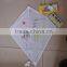 kids' drawing kite with color pens/crayons