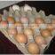 egg tray machine production line