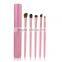 China supplier OEM 5 piece brush set cosmetic brush horsehair&goat hair brush Metal tube