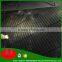 poplar concrete formwork plywood construction building material