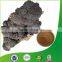 Natural OPC 95% Low price Pine bark extract