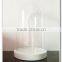 A>< Shabby Cottage Home Accent hand blown optical spherical Cloche with base Christmas Vintage display glass dome with wood tray