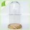Home decoration, holiday decoration&gift tall round dome glass // Wholesale bell jars dome glass