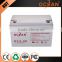 First class quality low price 12v 100ah succinct battery storage