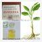Top Supplier offer Natural Pure Ginger Oil Wholesale Price
