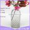 Aromatherapy Aroma Glass Diffuser Bottle