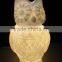 LED colorchanging owl holiday light