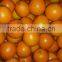 Fresh Navel Orange