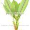 Dry turmeric slices from Vietnam for export, high quality & good price