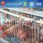 poultry battery cages for sale
