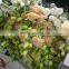Green Roses Fresh Cut Roses And Fresh Roses for Sale
