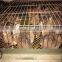 quail cage
