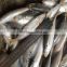 Hot sale Frozen horse mackerel new fish whole round fish