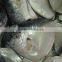 Moon fish