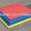 Professional EVA Taekwondo Training mat Interlocking Floor puzzle Mats