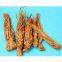 Angelica Root Extract