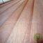 Yelintong Gurjan plywood waterproof glue shipping to India
