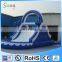 Super Dolphin Inflatable Water Slide for Kids with Pool Used Water Park Slide