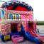 CE Certification of Great brand bouncy castle for sale, jumping castle on hot sale