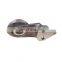 NT855 Diesel Engine Parts Fan Hub Assembly 3012649