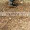 1WX-70  PTO driven  post hole machine digger earth auger for tractor