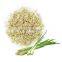 Herbs heathy food Vietnam dried lemongrass slices/popular food dried lemongrass slices made in Vietnam