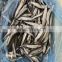 Good quality tray packing one night dried capelin fish