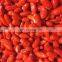Sinocharm Top Quality BRC A Approved Nutrient-rich IQF Goji Berry Frozen Fresh Goji