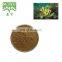 Super Food 10:1,0.1lodine  Bladderwrack extract Powder