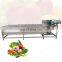 Food industrial washing machine Vegetable and fruits processing  washing machine factory