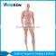 fiberglass stand realistic male mannequin