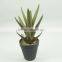 Factory Price New Design Artificial Succulent Plants For Sale