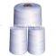 10s 20s 40s Bag Closing Thread Sewing Thread 100% Polyester China Manufacturer
