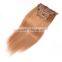 2016Wholesale Virgin Human Hair Clip In Hair Extension, Unprocessed Brazilian Human Hair Clip In Hair Extension