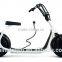 2 Wheels Wheel Electric 19 Inch Balance Scooter With Handle Seat