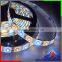 NEW Arrival! 60Leds/meter CRI 90 Double CCT Led Strip SMD2835 with CE,Rohs