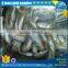 Fresh seafrozen horse mackerel whole round