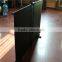 light floor stand projection screen with different size