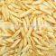 Air Core Potato strip production line