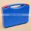 2 in 1 Portable Clear Small Plastic Case Carrying Case Memory Card Case_1010064