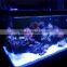 AQL Light Aquarium Reef Light LED 120W 60cm / 24" for SPS and LPS