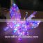 China Supplier 2016 New Product Decorative Holiday Butterfly Led Motif Light