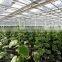 Hot sale greenhouse film for food