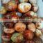 Factory Price Carnelian Agate Eggs Easter Eggs Gifts