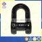 Offshore D Type Black Shackle for Anchor Chain