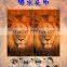 cheap wholesale 3D animal seamless bandana