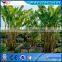 ZGM-4403 Pineapple Fiber Decorticator Machine