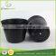 tree seed plant nursery pots